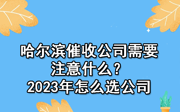 哈尔滨催收公司需要注意什么？2023年怎么选公司