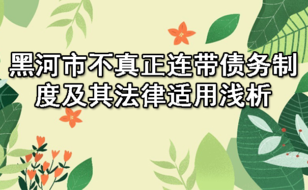 黑河市不真正连带债务制度及其法律适用浅析